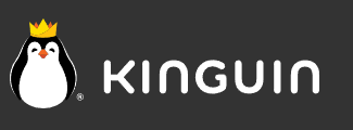 Logo Kinguin